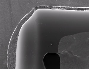 Cross section of the bulb