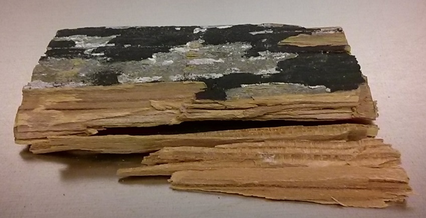 Wood Sample